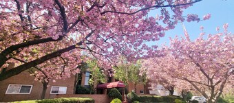 Bright 2BR/2BA Retreat | Perfect for Monthly Stays