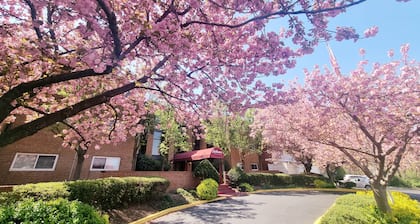 Beautiful, Spacious, 2+2 Monthly Discount