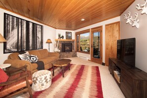 TV, fireplace, books