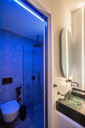 Shower, hair dryer, towels