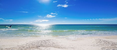 On the beach