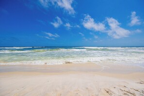 Playa en los alrededores 