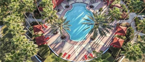 Una piscina al aire libre, una piscina climatizada