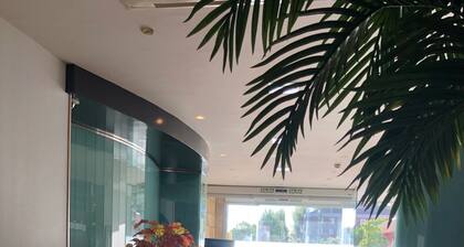 Hotel V Ciudad