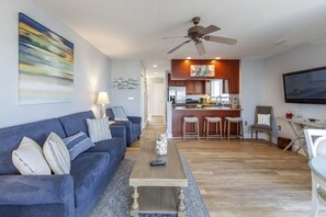 TV, DVD player, books, video library