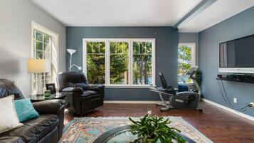 Smart TV, fireplace, video games, DVD player