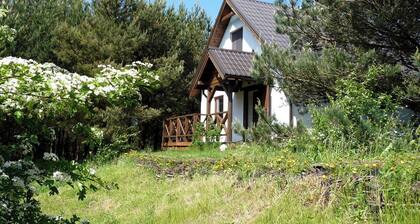 Cottage in a Pine Forest - In quiet greenery