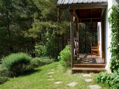 Cottage in a Pine Forest - In quiet greenery