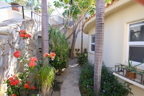 A stone pathway leading to a house with a balcony, surrounded by various plants and flowers. - Unobstructed Ocean views from eco friendly Hacienda. (Los Cabos)