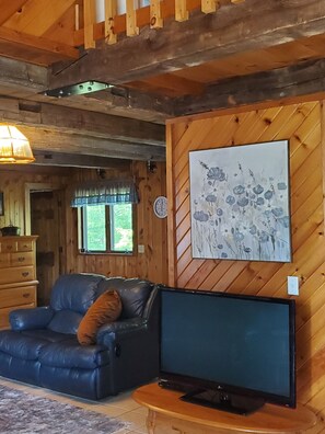 Téléviseur, foyer, lecteur de DVD, livres