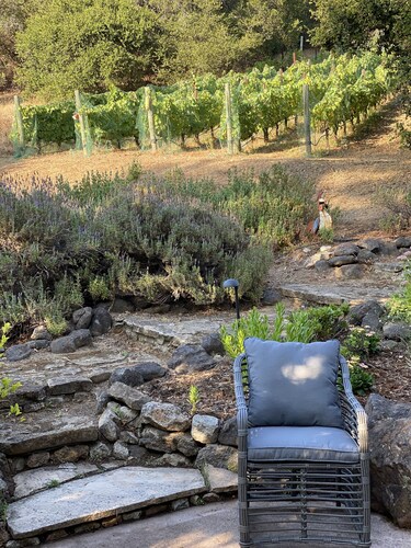 Studio cottage retreat in a vineyard setting