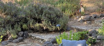 Studio cottage retreat in a vineyard setting