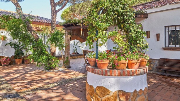 Een binnentuin met terracotta potten, een bank en een pergola begroeid met groen.