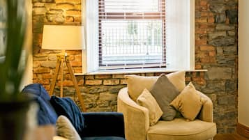 TV, fireplace, books