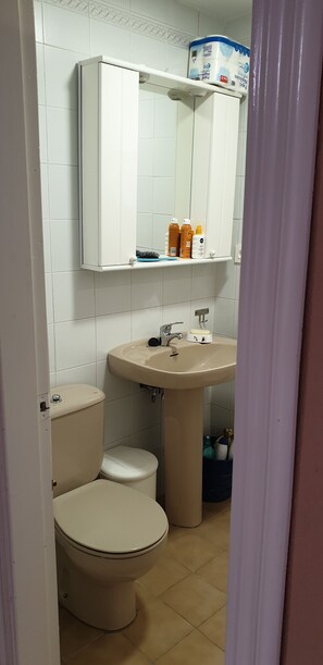 Bathtub, bidet, towels, soap