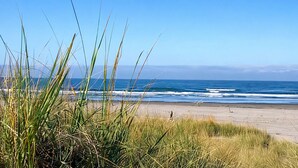Una playa con césped al frente y una vista despejada del océano.