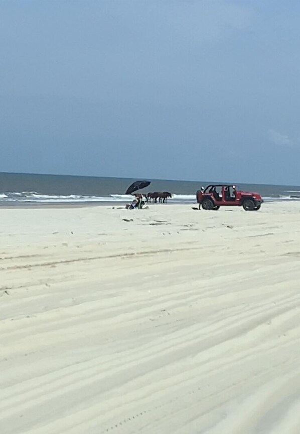 A beach with a red vehicle and a person with an umbrella.