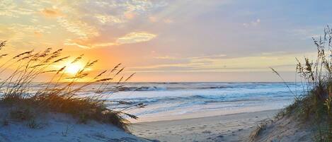 بالقرب من الشاطئ، كراسي للتشمس، مناشف للشاطئ