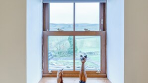 Ein Zimmer mit großem Fenster, Holzboden und zwei Katzenfiguren.