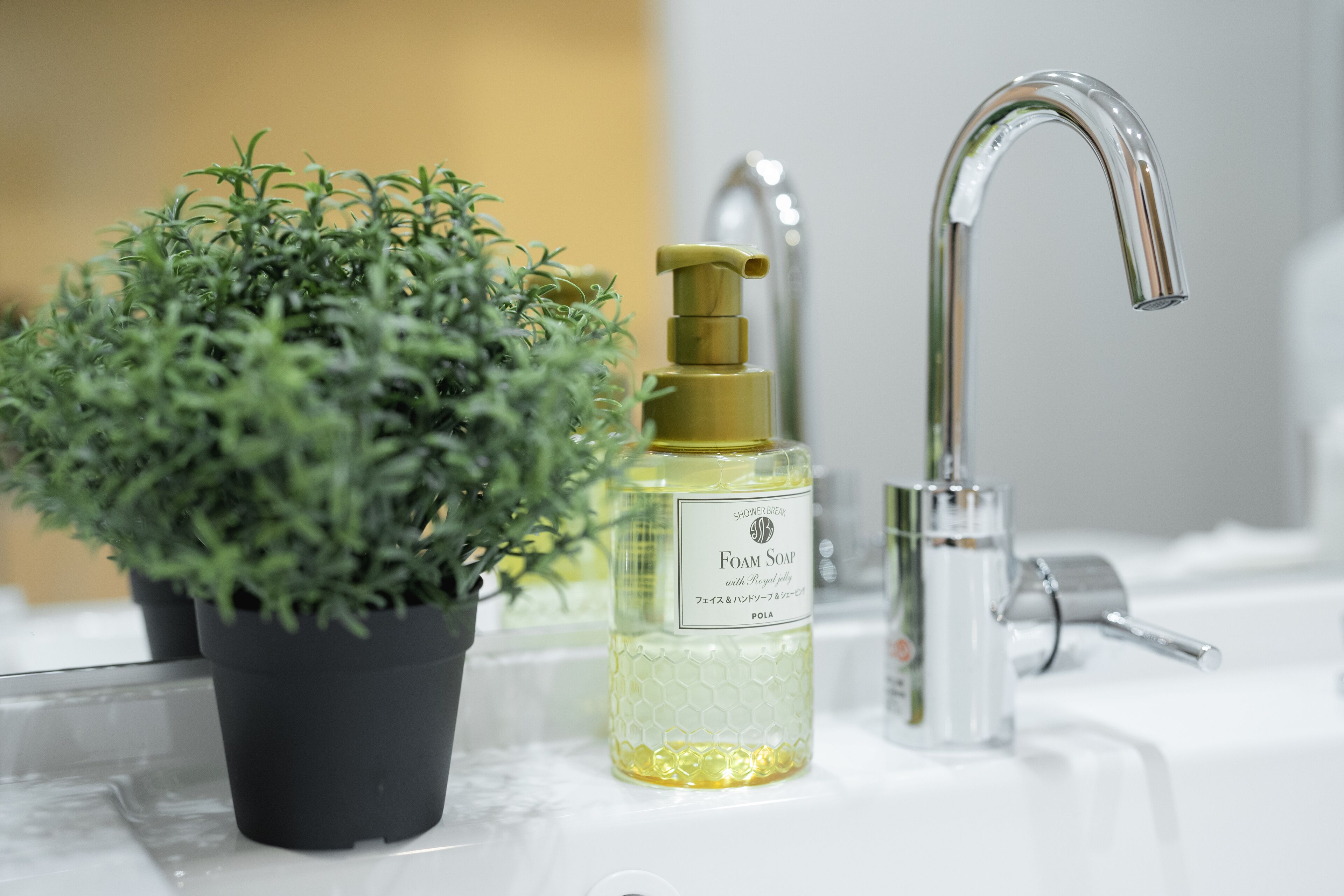 A bathroom sink with a glass bottle of foam soap and a potted plant.
