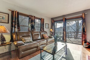 TV, fireplace, books