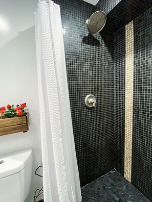 Hair dryer, electronic bidet, towels, soap