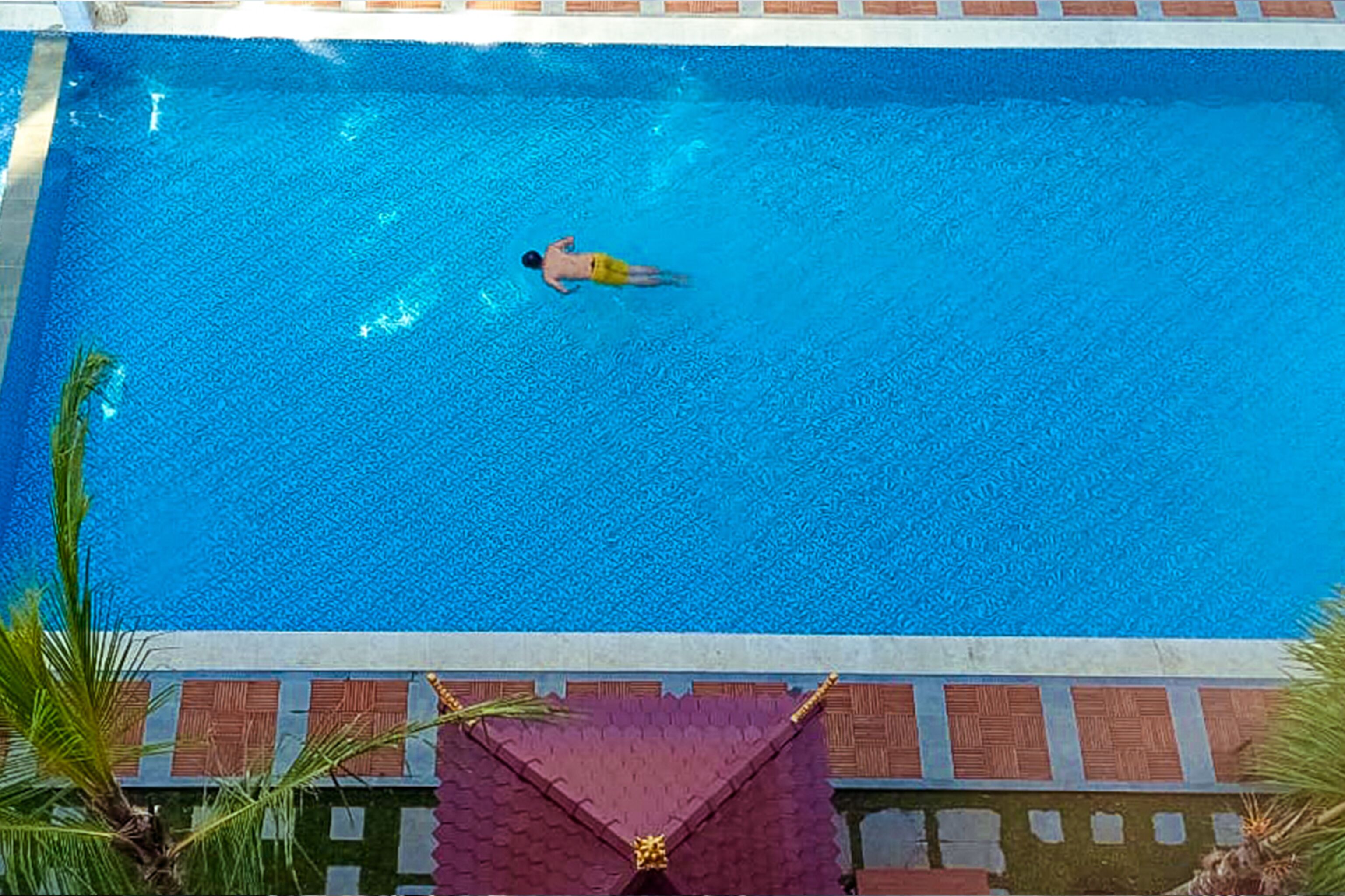 A rectangular swimming pool with clear blue water, surrounded by a tiled deck and palm trees.