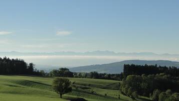 Ein weitreichender Blick über eine grüne Landschaft mit sanften Hügeln, Bäumen und fernen Bergen unter blauem Himmel.