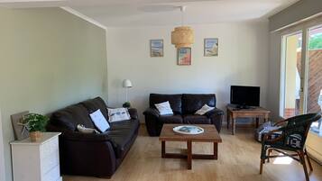 TV, DVD player, books