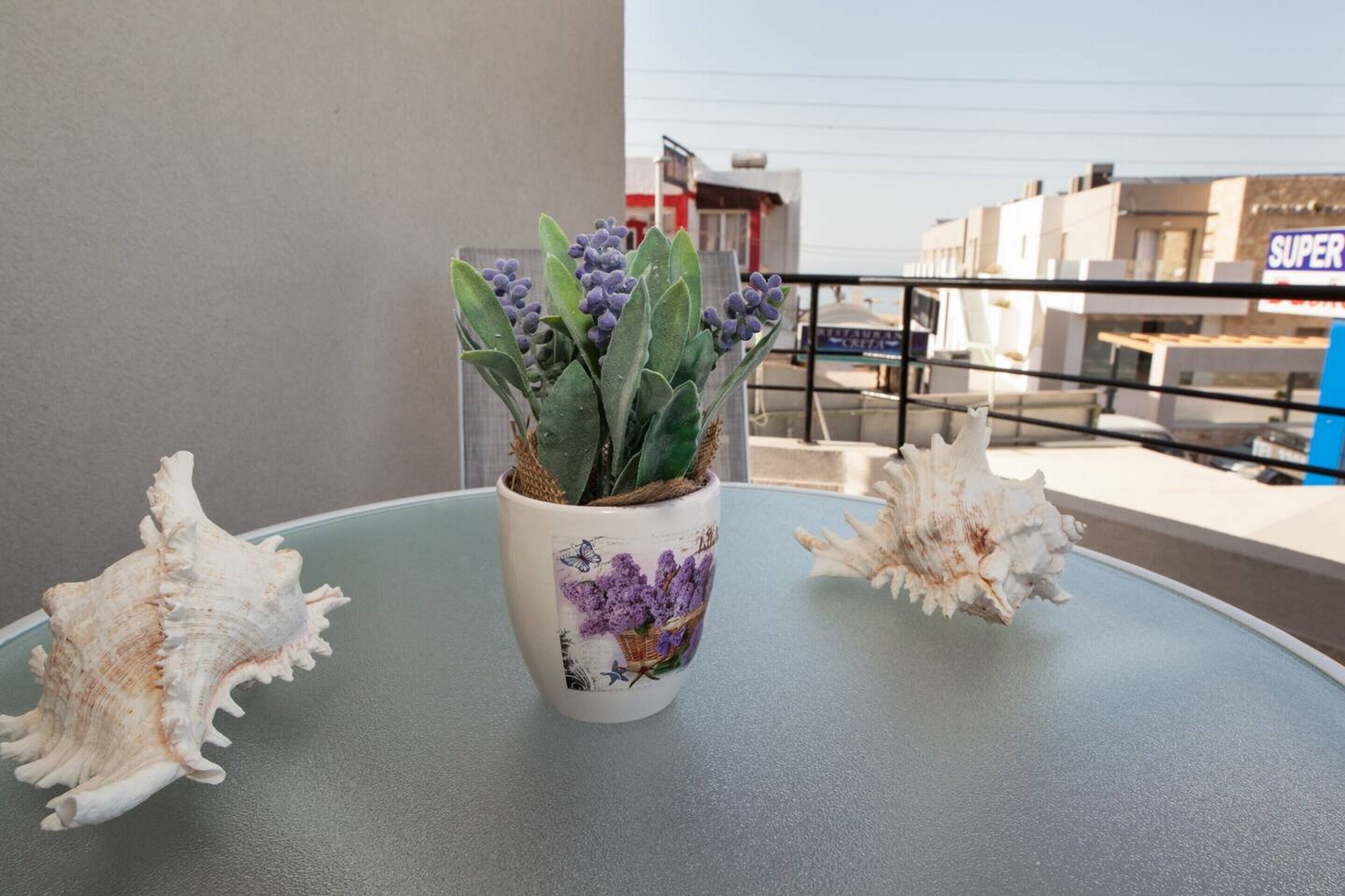 Una planta en maceta con flores moradas sobre una mesa de balcón, rodeada de conchas marinas.