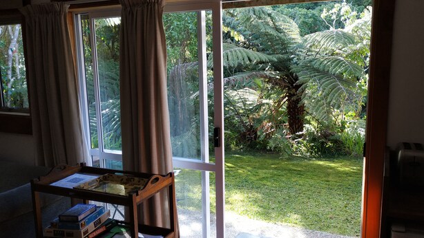 A room with a large window overlooking a lush garden with ferns and a palm tree. - A comfortable, private, country apartment. 300mts walk to safe sandy beach. (Collingwood)