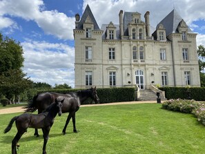Garden - Château du Maurier (La Fontaine-Saint-Martin)