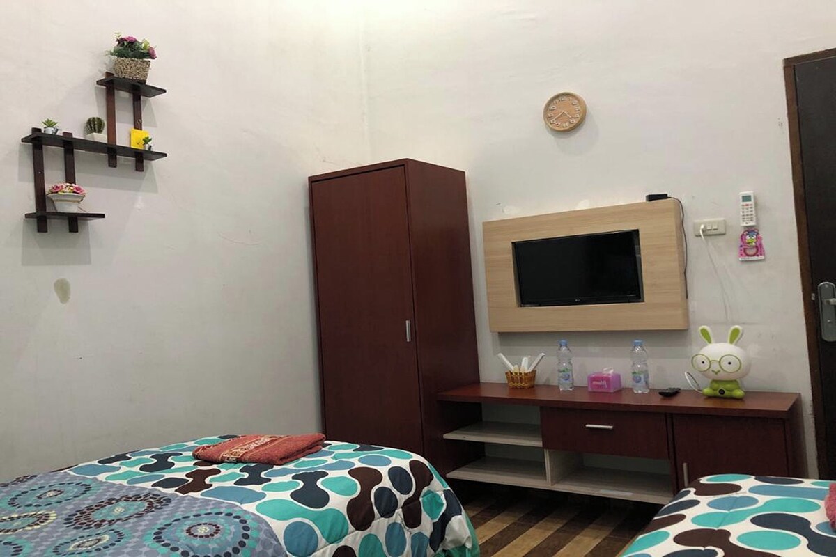 A room with two beds, a TV, a wardrobe, and a shelf with plants.