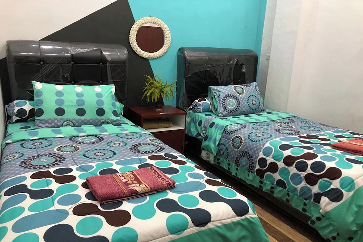 A bedroom with two beds, each with patterned bedding, a small nightstand with a plant, and a decorative mirror on the wall.