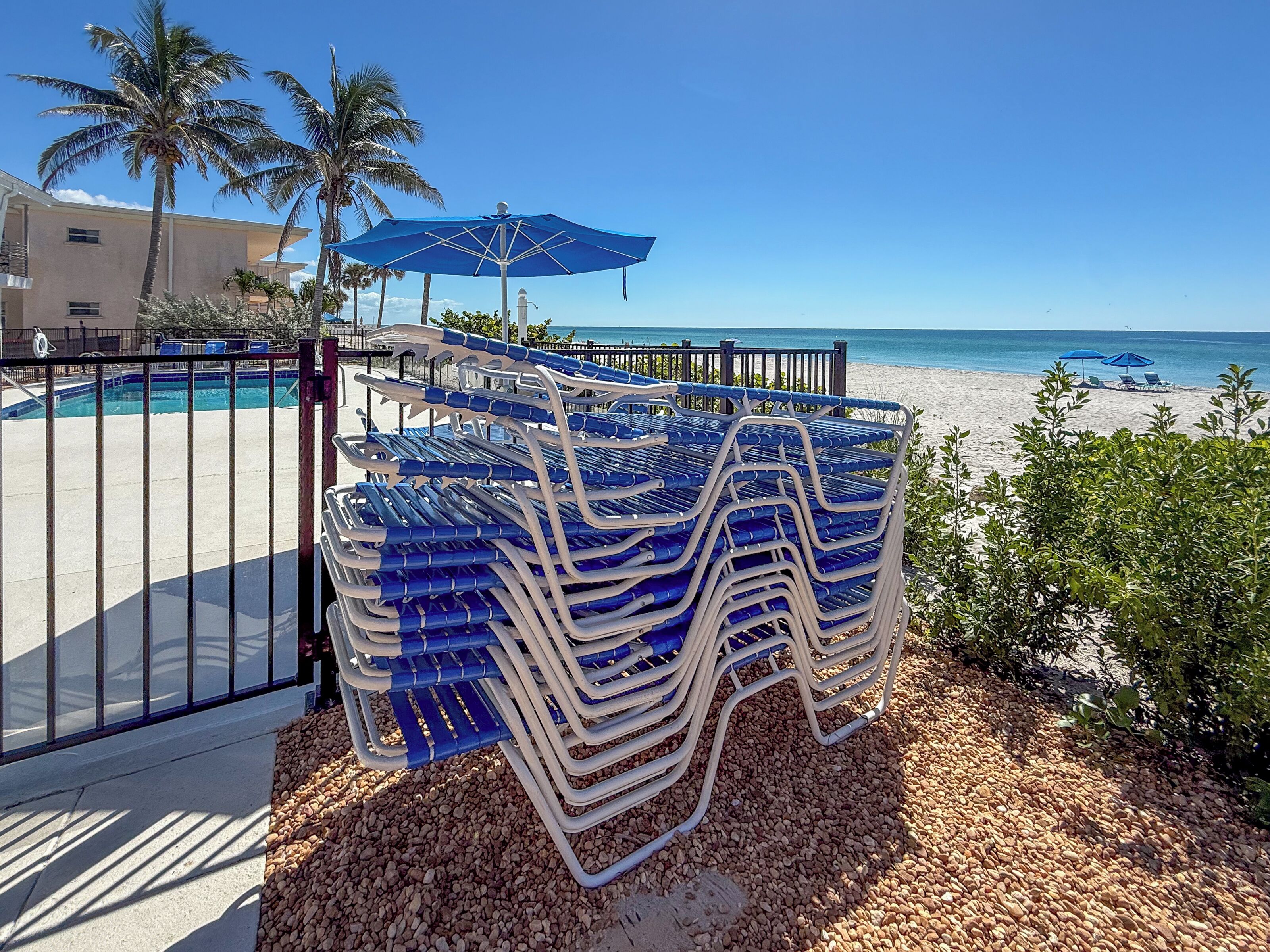 Un espace aménagé au bord de la plage, avec une piscine, des palmiers et une pile de chaises bleues.
