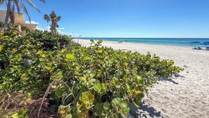 Una spiaggia con cielo sereno, palme e una riva sabbiosa.