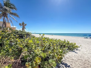 Plage, chaises longues, serviettes de plage