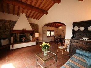 TV, fireplace, ping pong