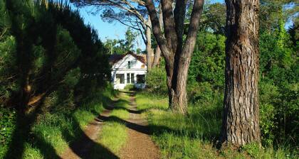 House - Large garden - calm and nature
