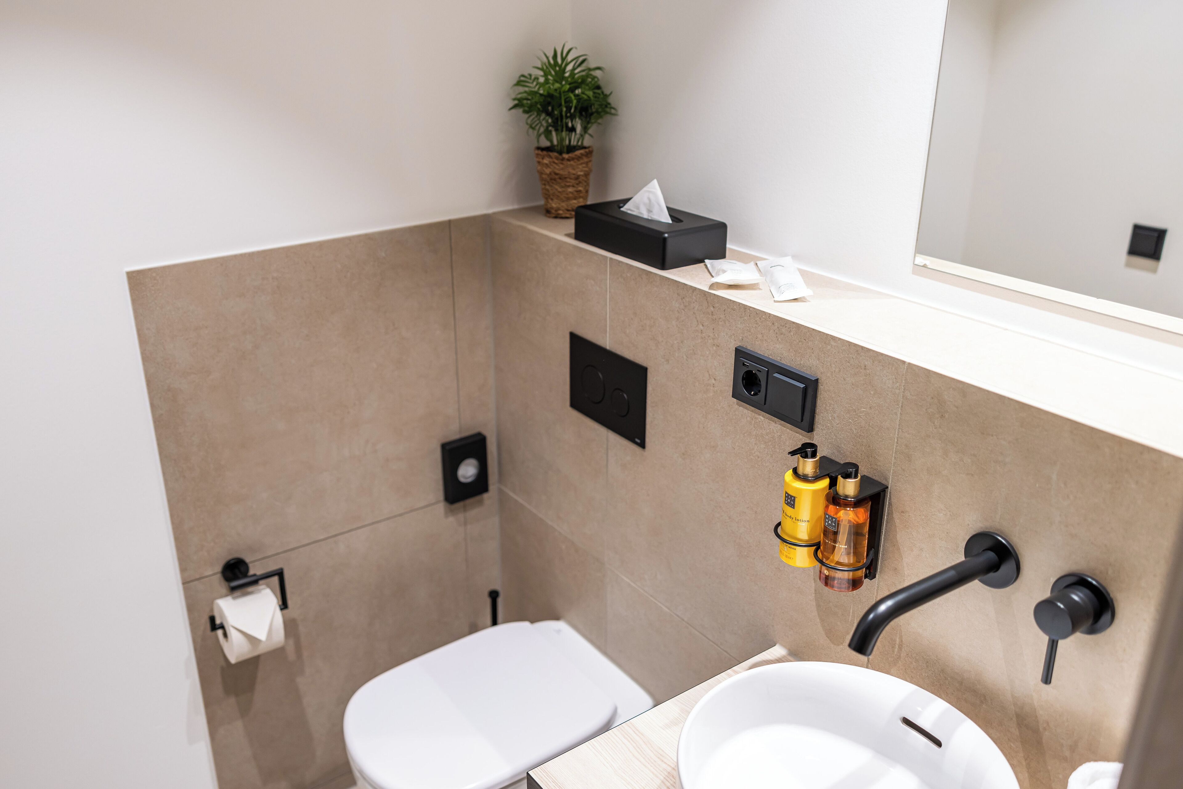 Un baño moderno con inodoro, lavabo y una pequeña planta en maceta sobre el mostrador.