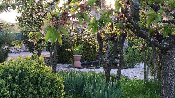 Un jardín con un camino de grava, diversas plantas y árboles.