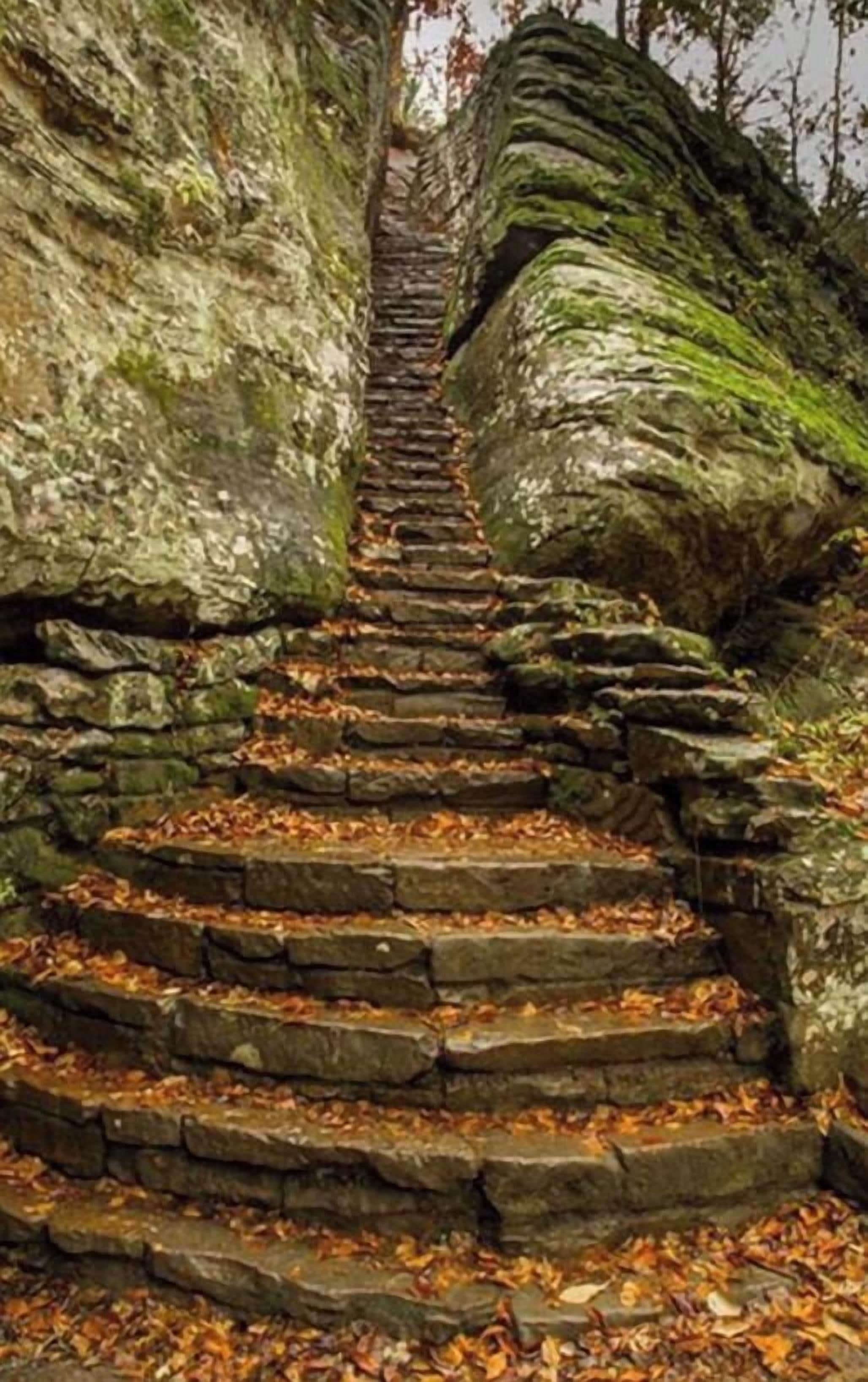 Eine Steintreppe, die zu einem felsigen Pfad hinaufführt.