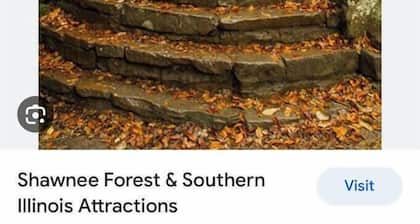 Rustic charm meets modern comfort at Arsulas House