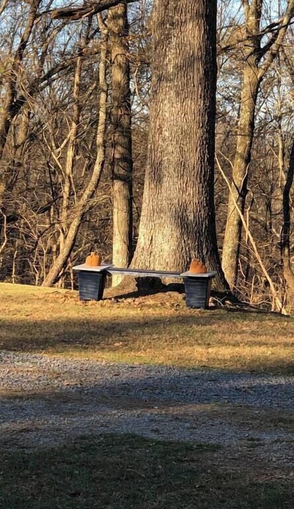 Parco della struttura
