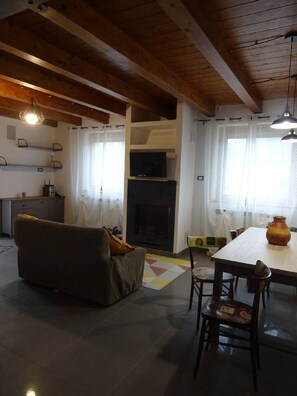 TV, fireplace, DVD player, books