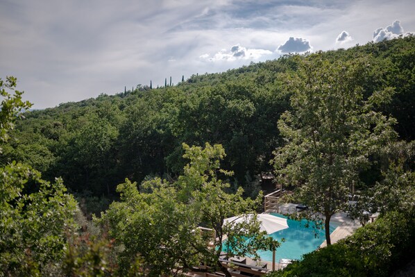 A pool area surrounded by dense forest, with a clear sky above.