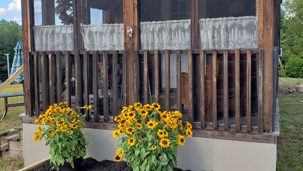 Una cabaña de madera rústica con techo verde, amplias ventanas con cortinas de encaje y dos macizos de flores amarillas.