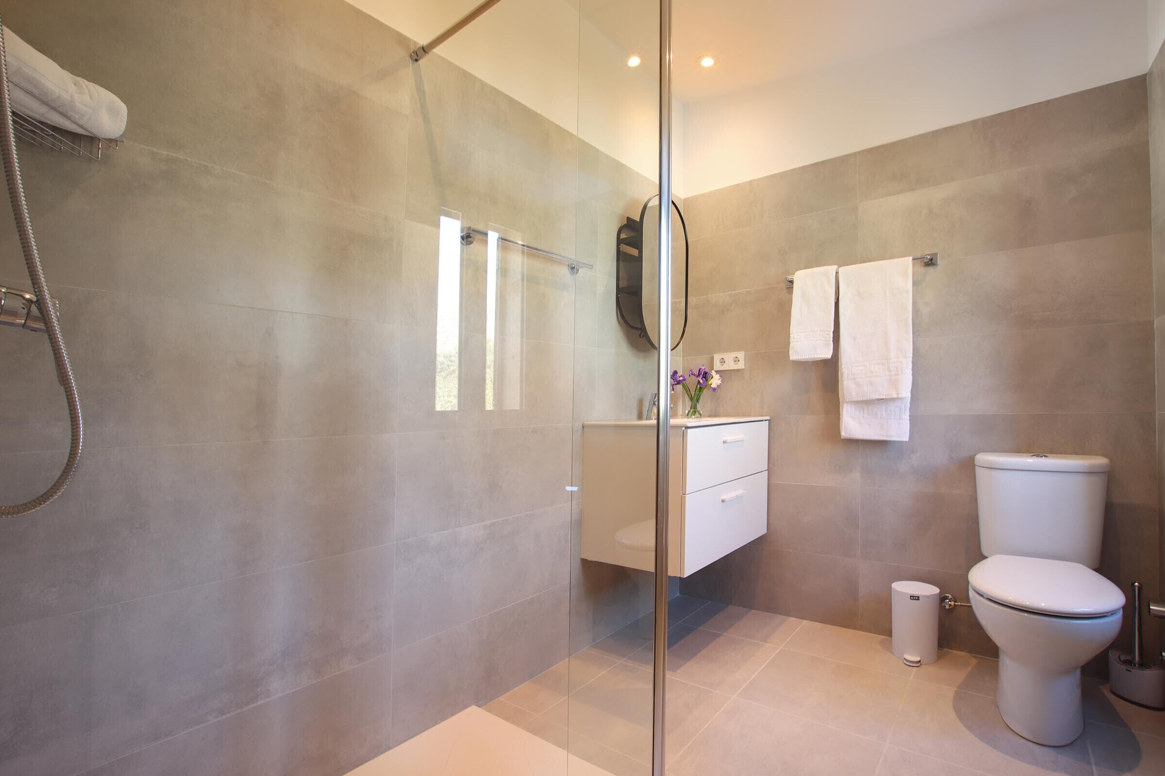 A modern bathroom with a glass-enclosed shower, a white toilet, and a vanity with a mirror.