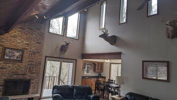 TV, fireplace, video games, DVD player