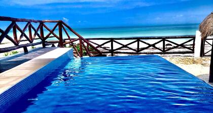 Casa Libelula Beachfront House